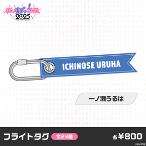 【事前販売】ぶいすぽっ！フェス2025　フライトタグ