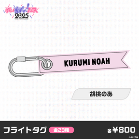 【事前販売】ぶいすぽっ！フェス2025　フライトタグ