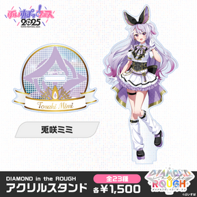 【事前販売】DIAMOND in the ROUGH　アクリルスタンド