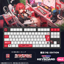 VSPO! GEAR ゲーミングキーボード Ver.2